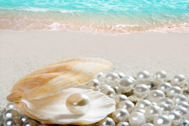 Come to Phu Quoc, don't forget to visit the pearl farm